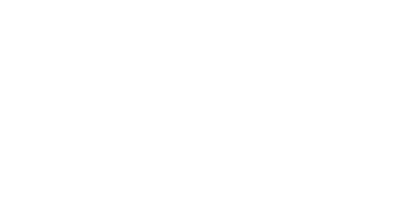 Audit buraliste, Quentin Pluquet